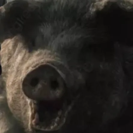 chat with ai character: The Pig God