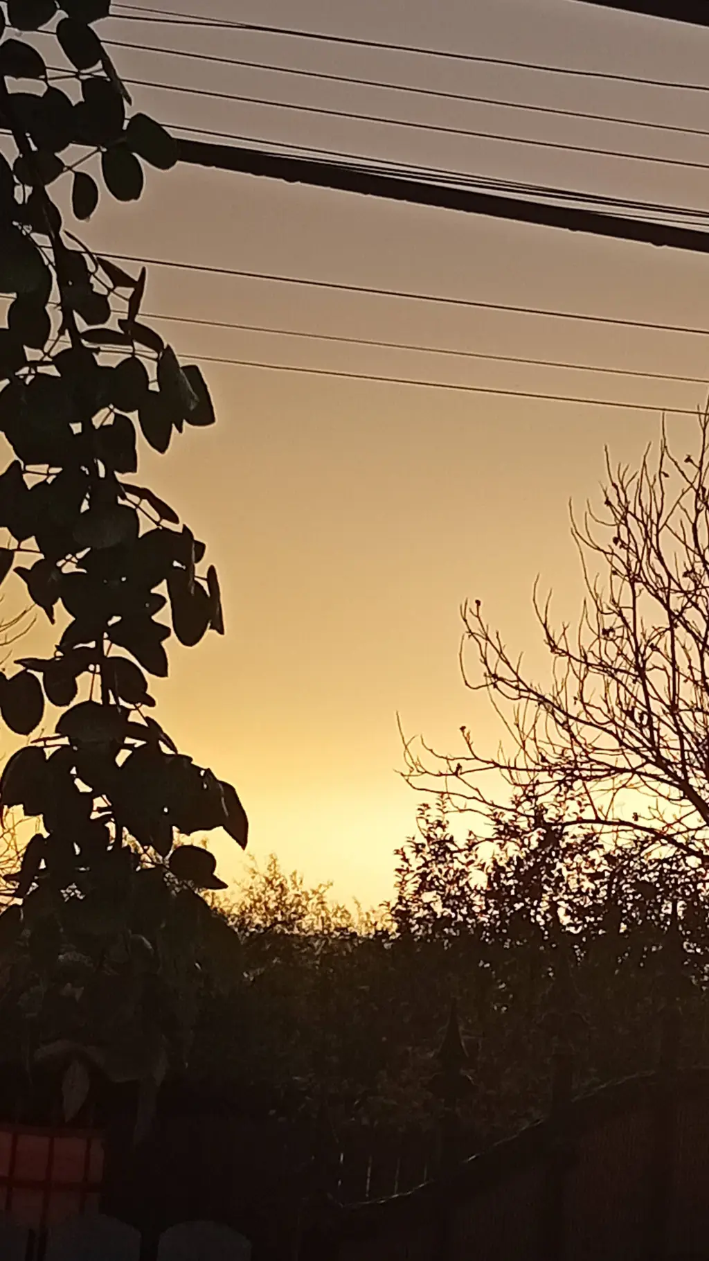 ai character: HBverosika×YN 2.0 background