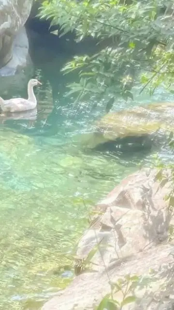 ai character: >:/ background