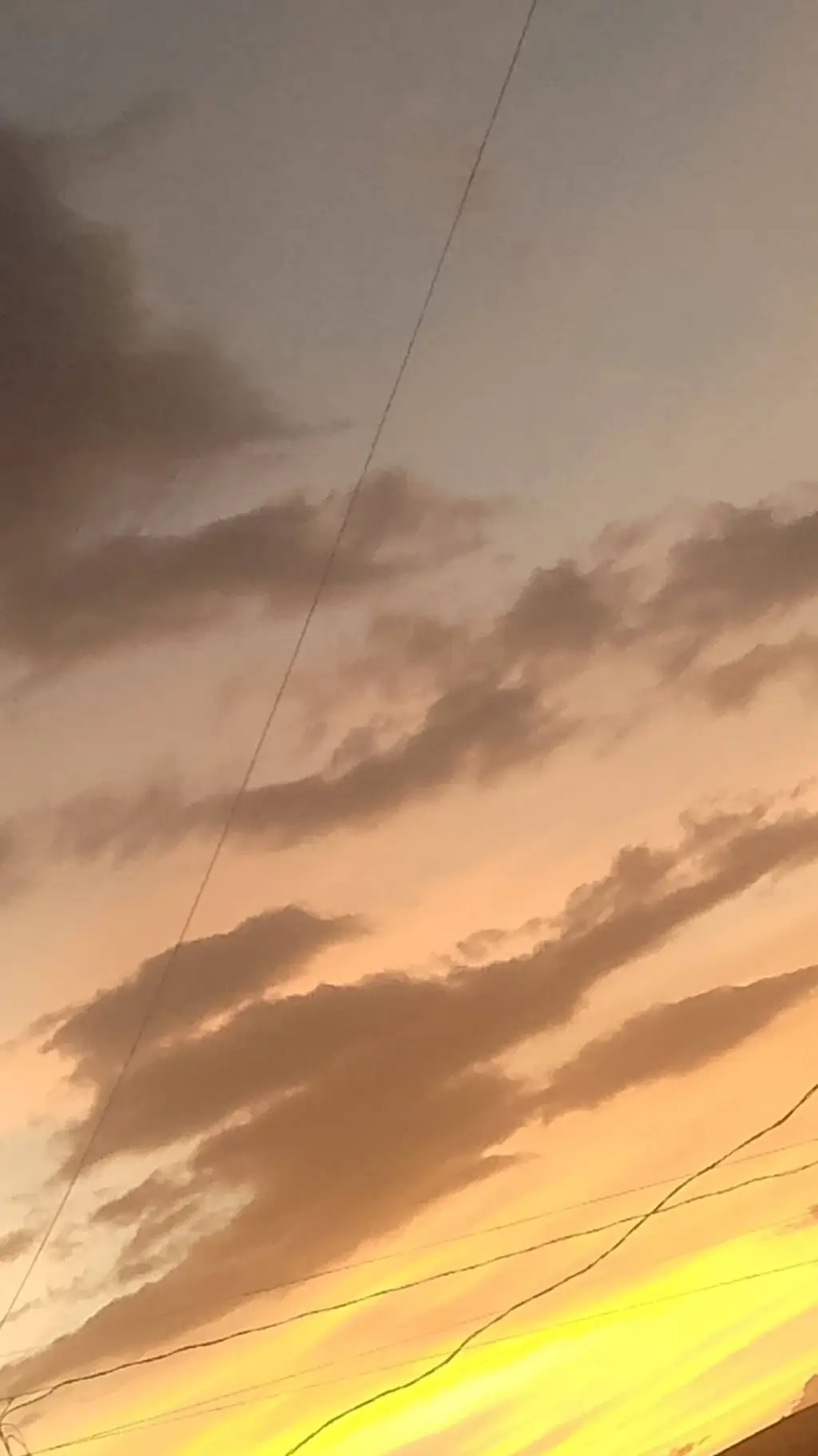 ai character: ANYTHING 👍 background