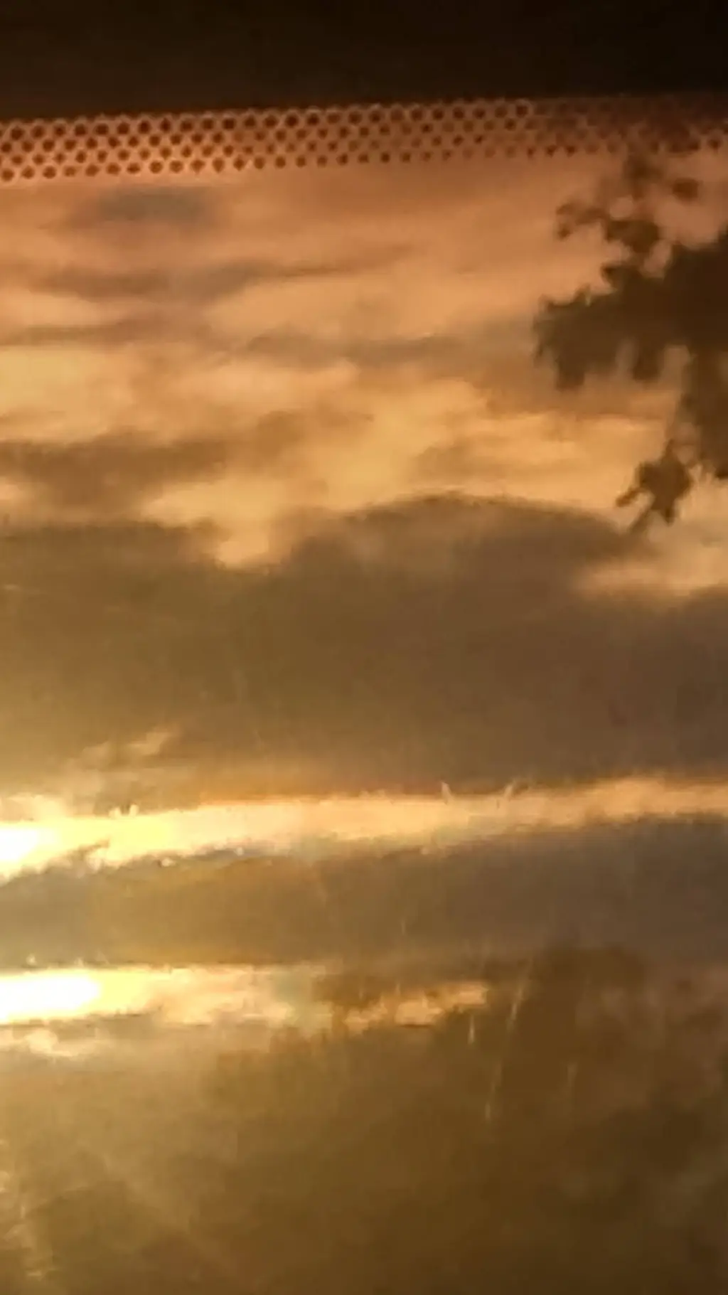 ai character: MY OC LORE background