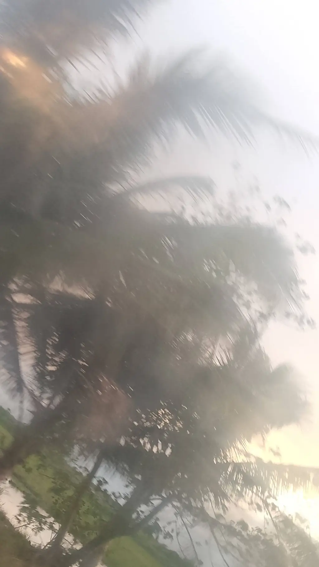 ai character: HELP ME.. background