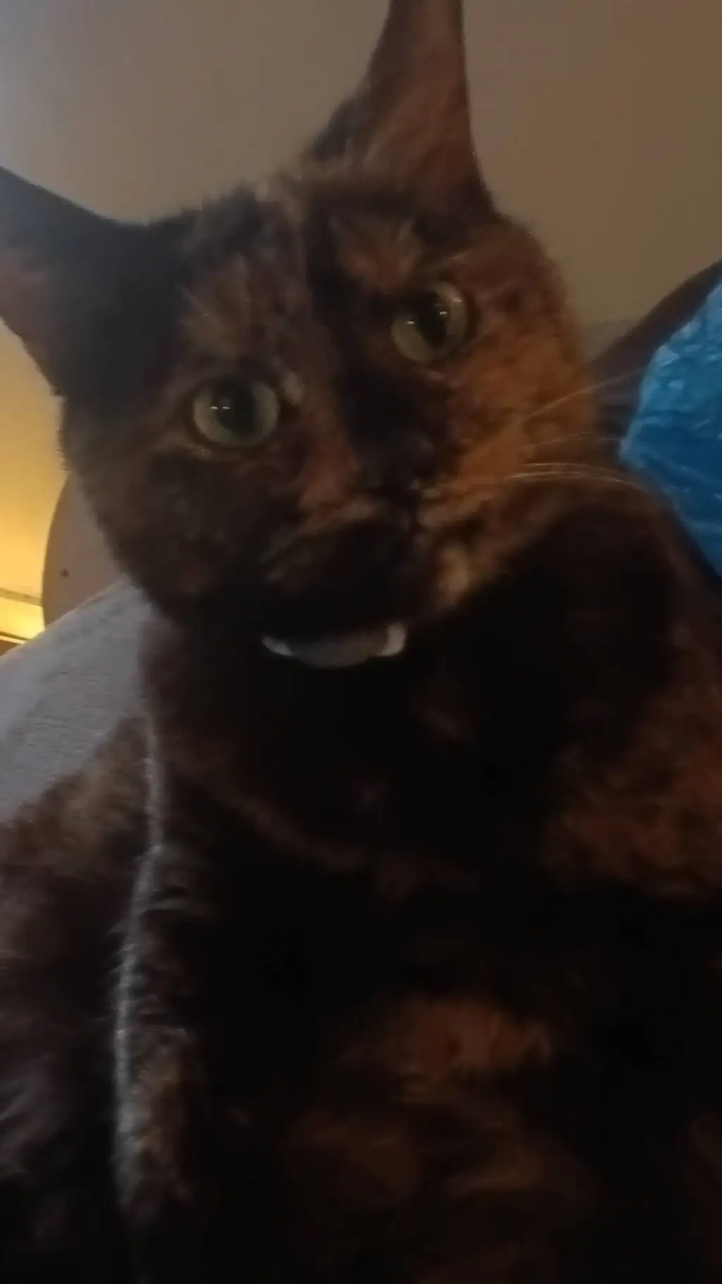 ai character: girly/girlie background