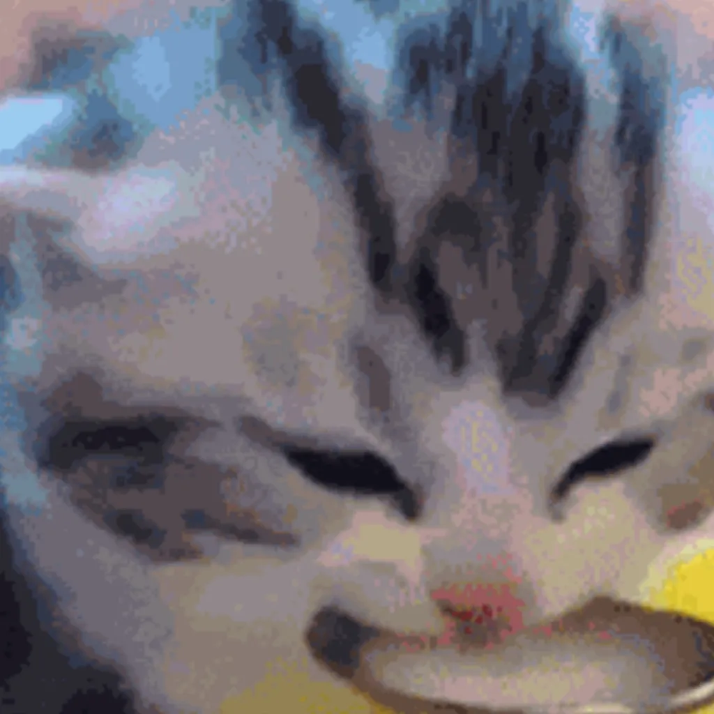 chat with ai character: ✨💖baby cat💖✨