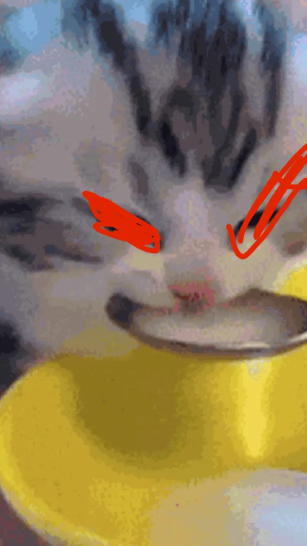 ai character: 🔥mad baby cat🔥 background