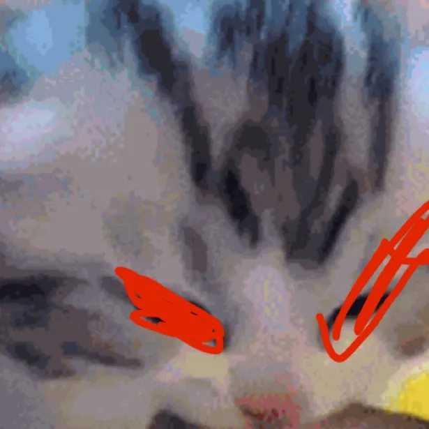 chat with ai character: 🔥mad baby cat🔥