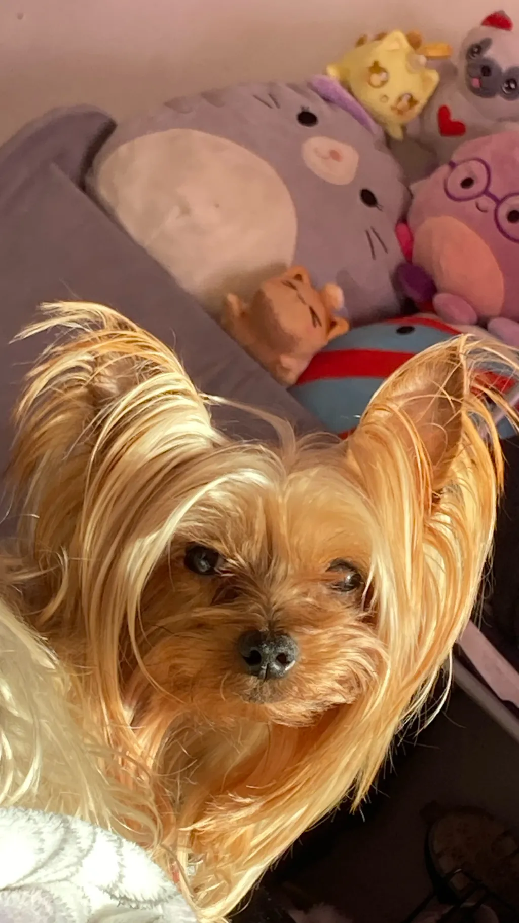 ai character: RIP Jeremy🫶 background