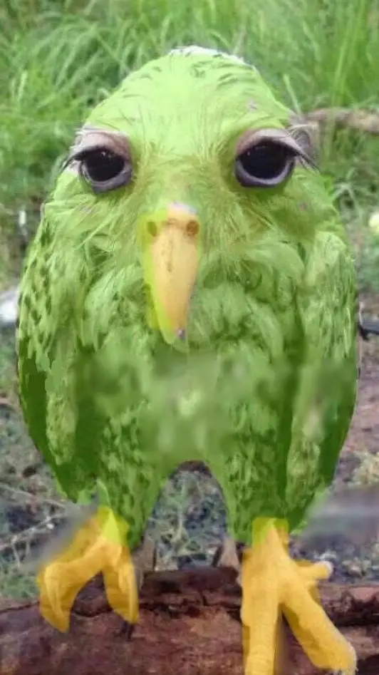 ai character: Duolingo 😰 background