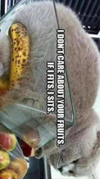 ai character: Avengers background