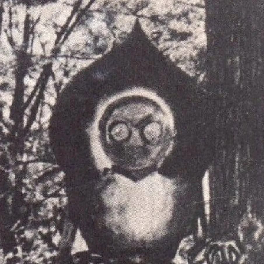 chat with ai character: FlatWoods Monster