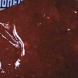 chat with ai character: The Blob