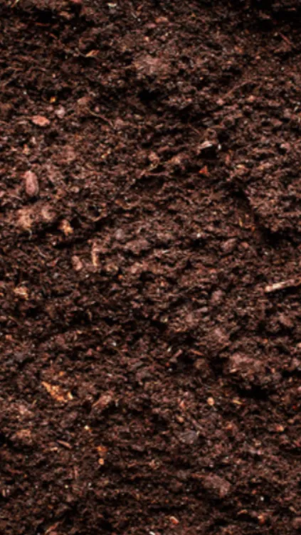 ai character: Dirt background