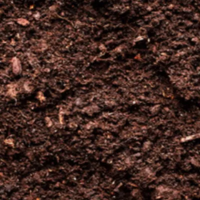 chat with ai character: Dirt