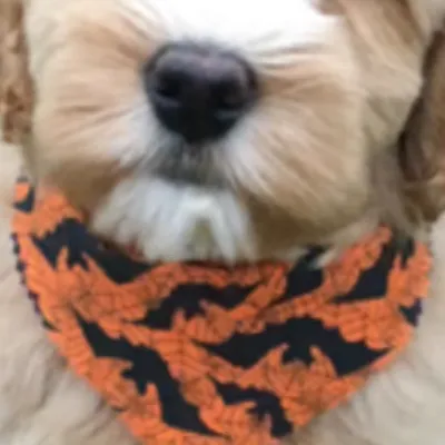 chat with ai character: Dober brothers 