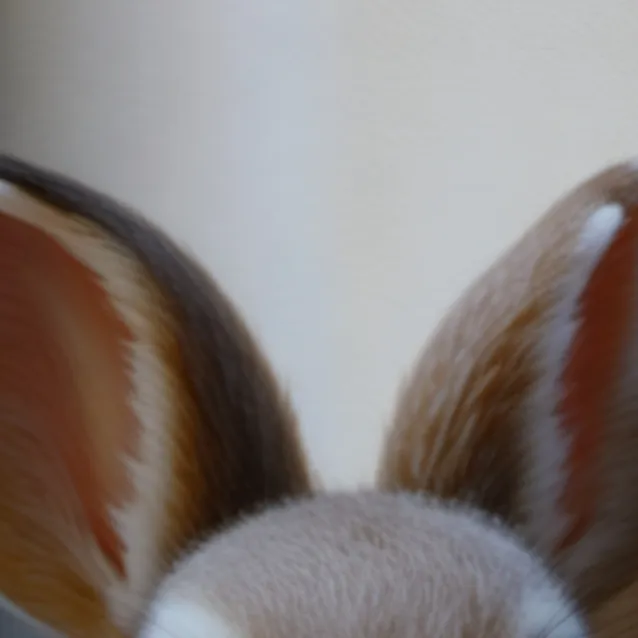 chat with ai character: baby bunny brown