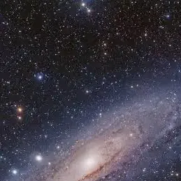 chat with ai character: Forsaken pickne