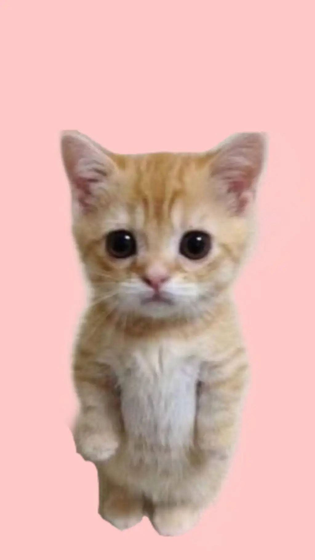 ai character: Fizzy background
