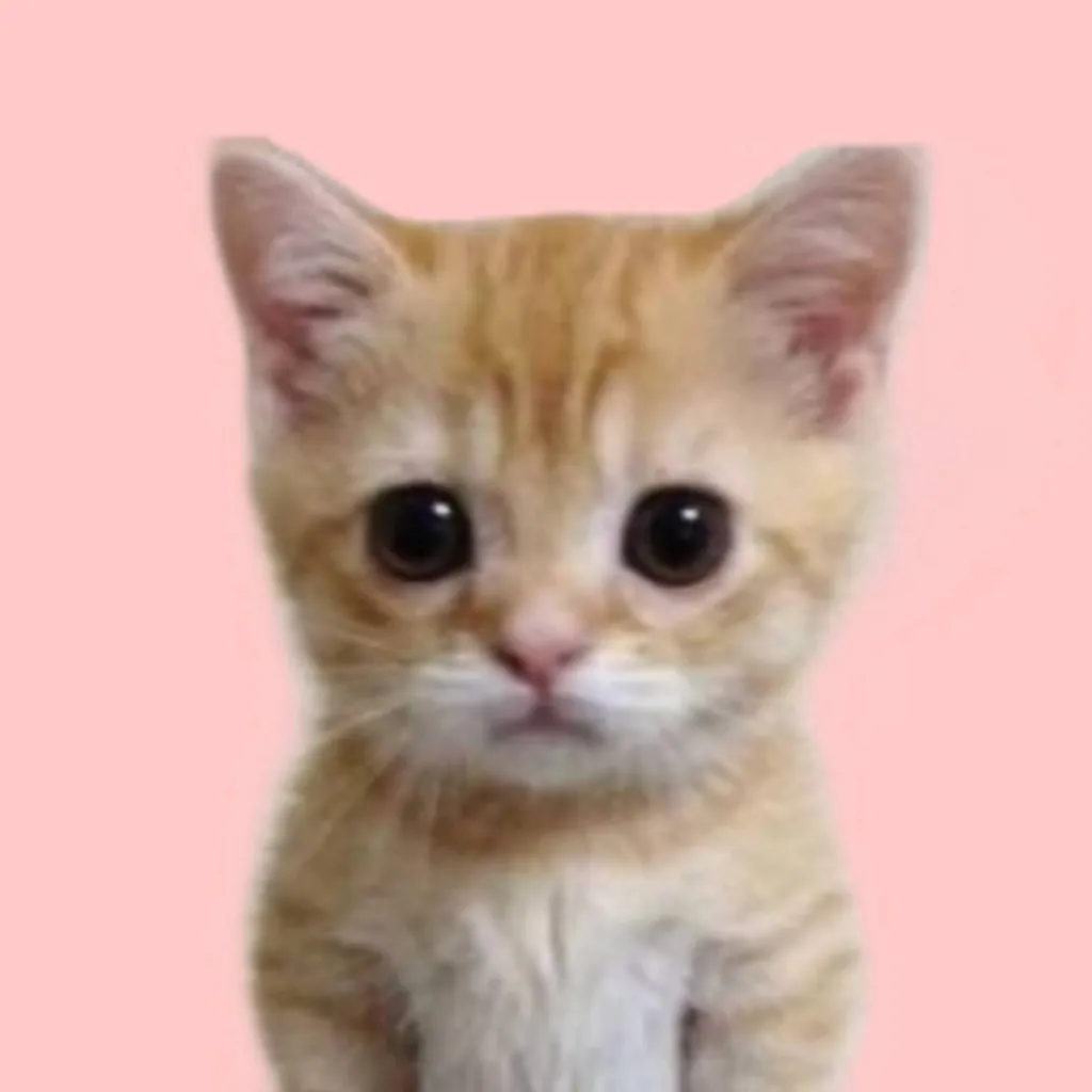 chat with ai character: Fizzy