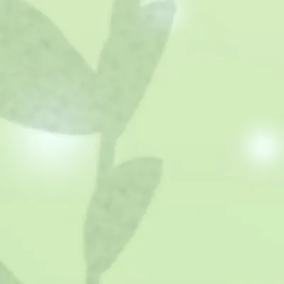 chat with ai character: Marimo moss ball