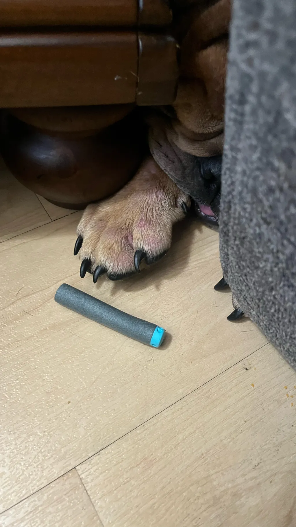 ai character: Duke/nerf bullet  background