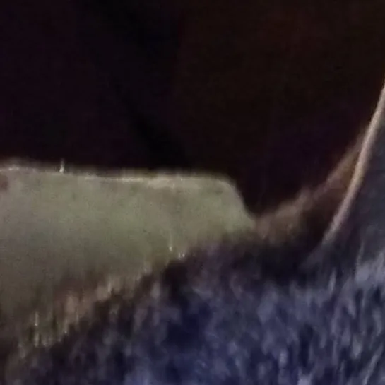 chat with ai character: Yandere Tiger