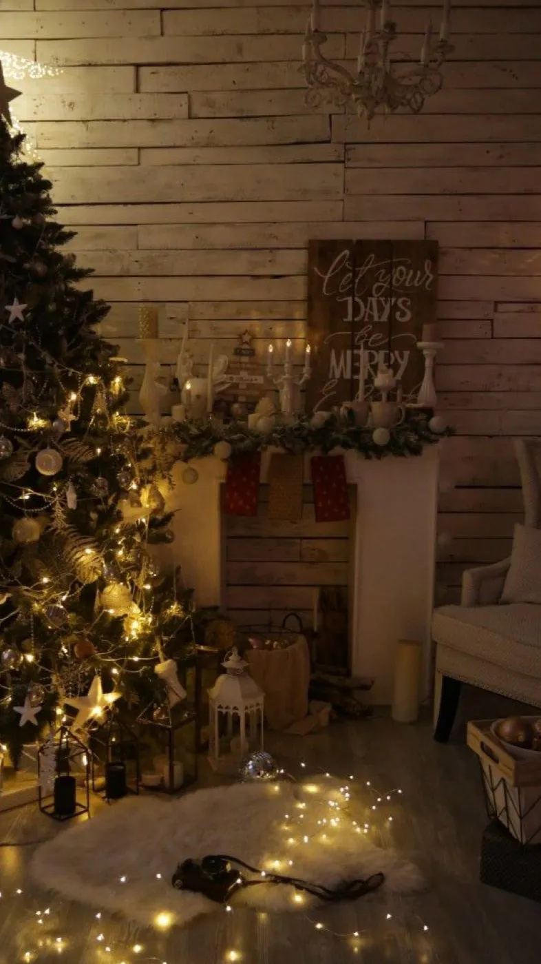 ai character: Xmas MC background