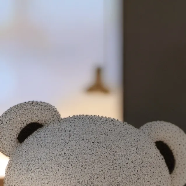 chat with ai character: Noukie Bear