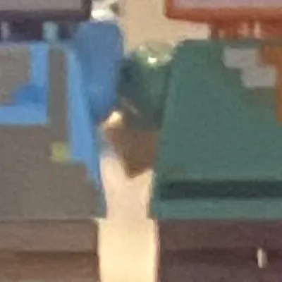 chat with ai character: Minecraft Family