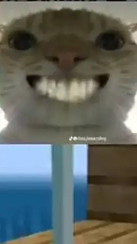 ai character: Waffo Cat background