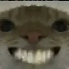 chat with ai character: Waffo Cat