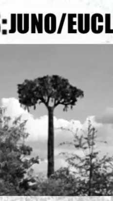 ai character: Lepidodendron Tree background