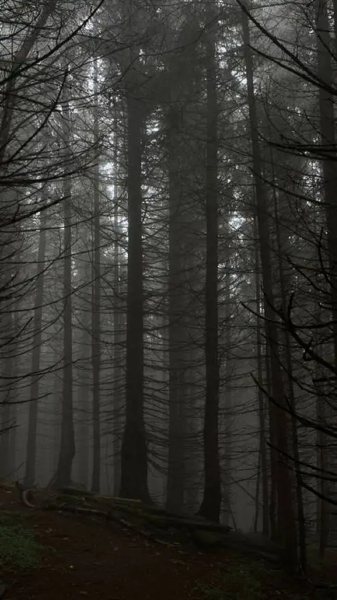 ai character: Mha background