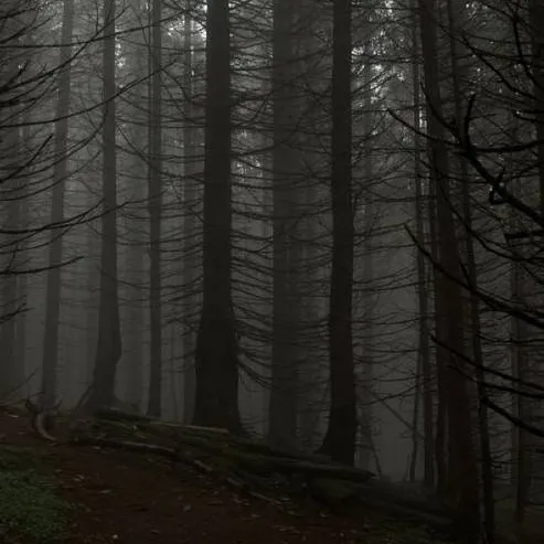 chat with ai character: Mha