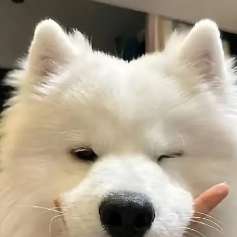 chat with ai character: Wu's World 