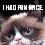 chat with ai character: Grumpy cat