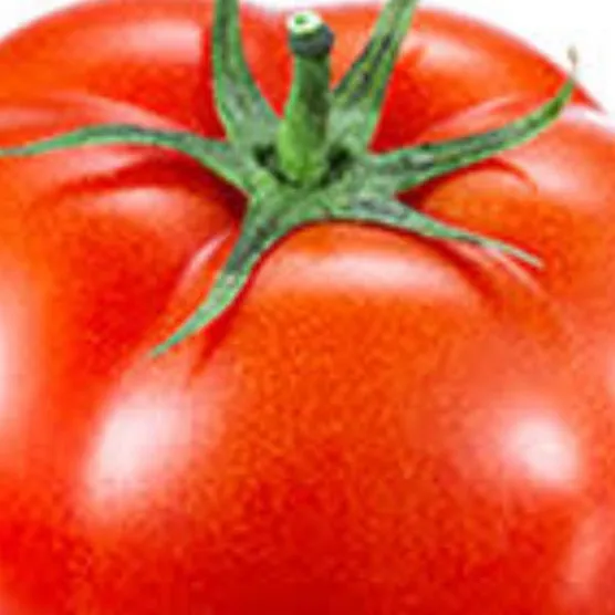 chat with ai character: Tomato 