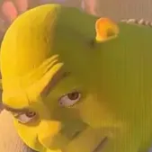 chat with ai character: SHREK💅💅💅💅✩