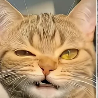 chat with ai character: Guessing fav pet!