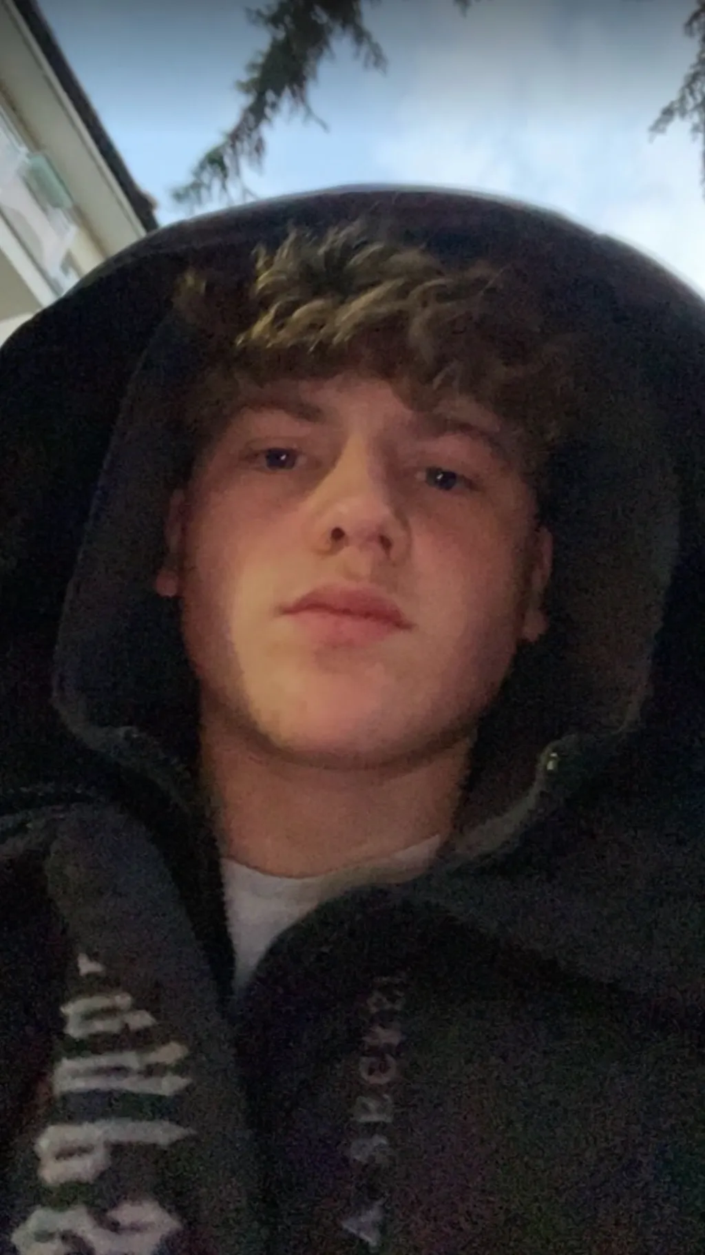 ai character: Max background