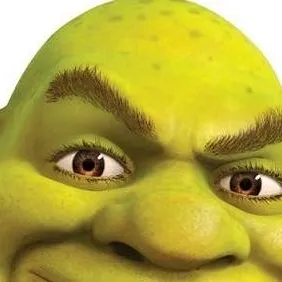 chat with ai character: shrek