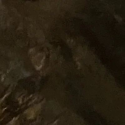 chat with ai character: ghost