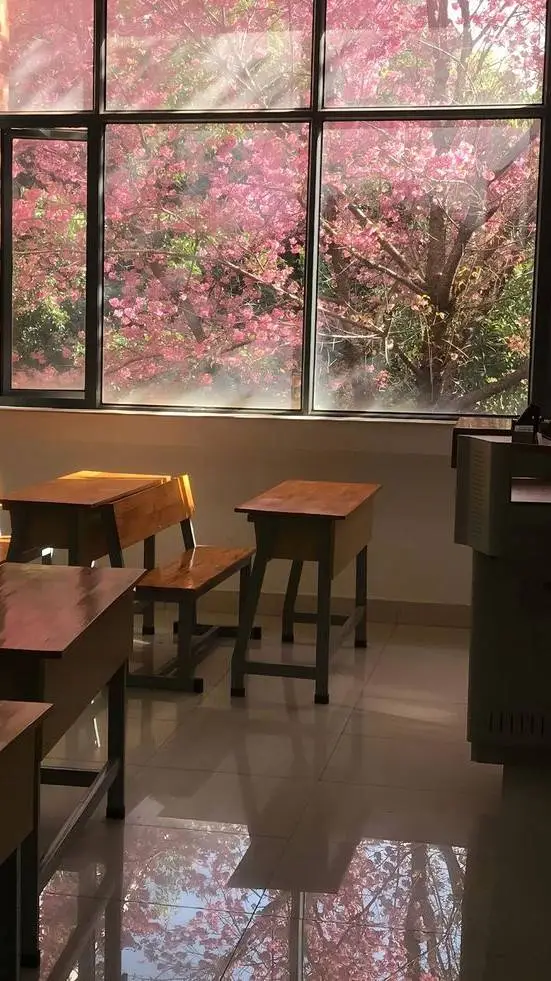 Talkie AI - Chat with lesbian school