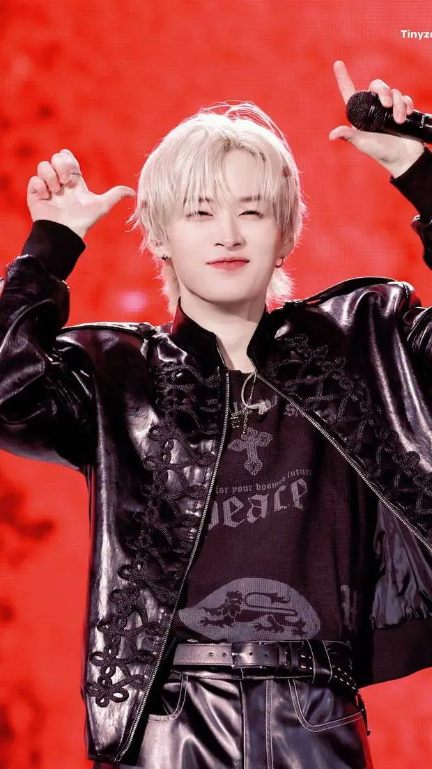 ai character: ‎‧₊˚✧Lee Know✧˚₊‧ background