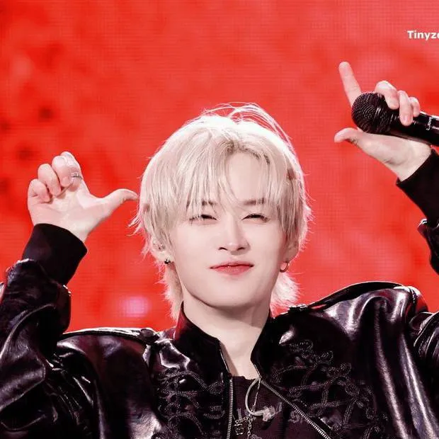 chat with ai character: ‎‧₊˚✧Lee Know✧˚₊‧