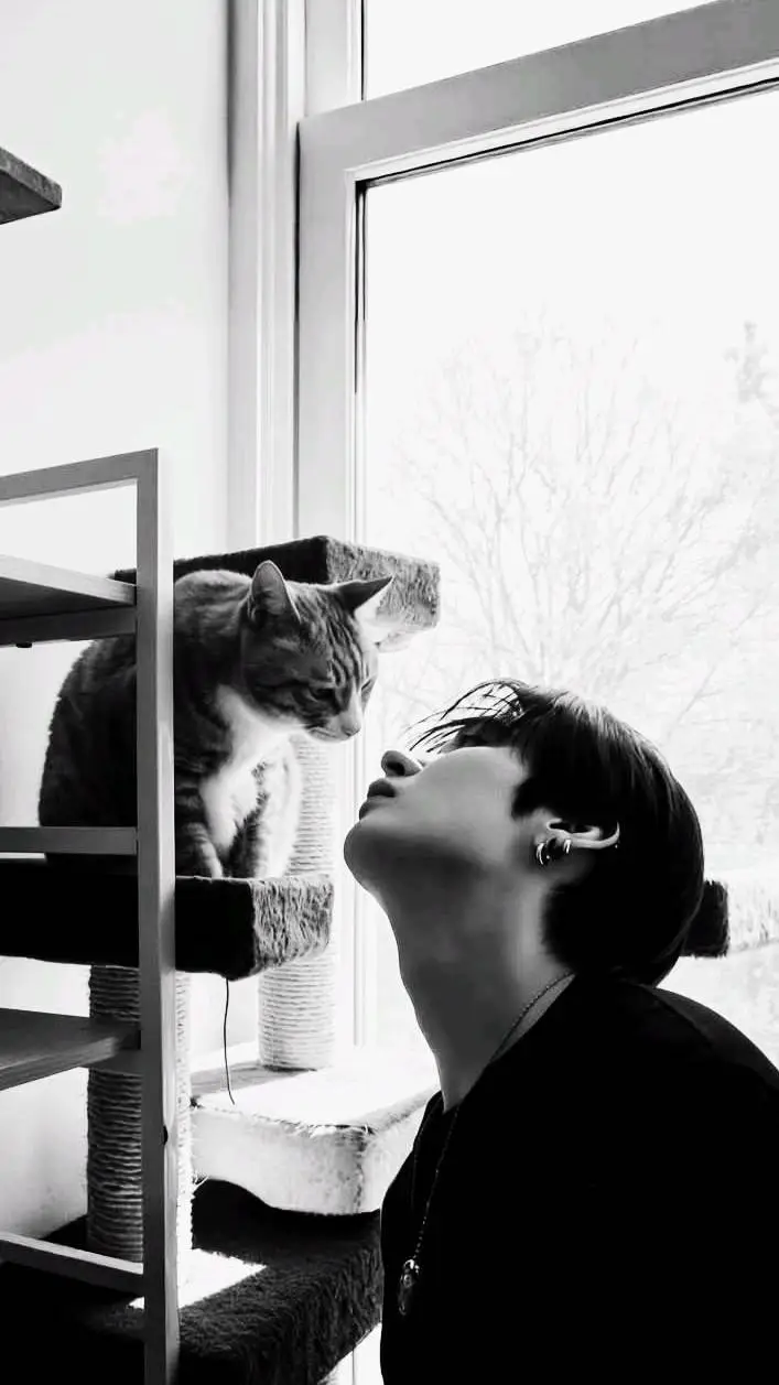 Talkie AI - Chat with °❀⋆Lee Minho.𖦹*:･