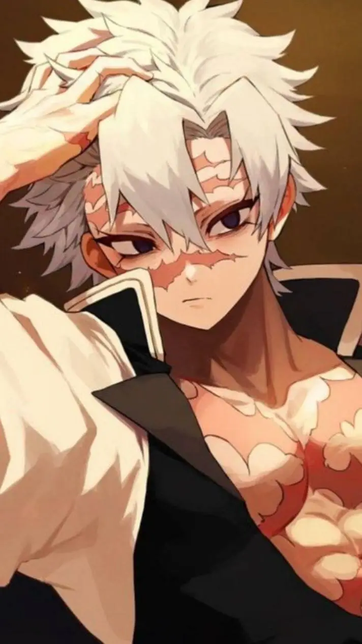 ai character: The Shinazugawa's background