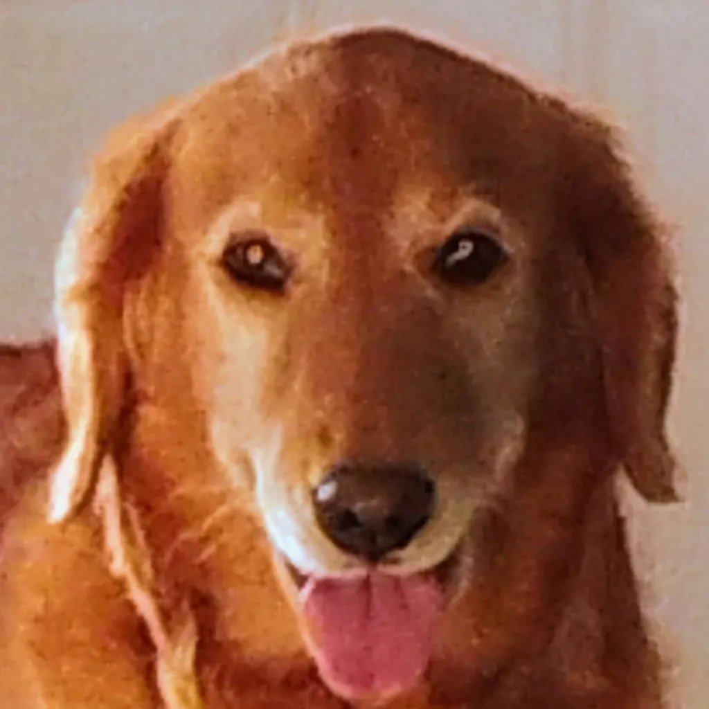 chat with ai character: Trixie