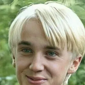 chat with ai character: Draco Malfoy