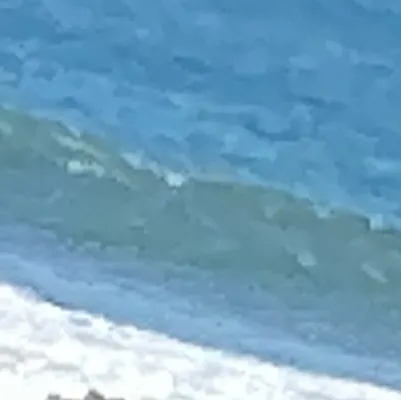 chat with ai character: Beach day! 