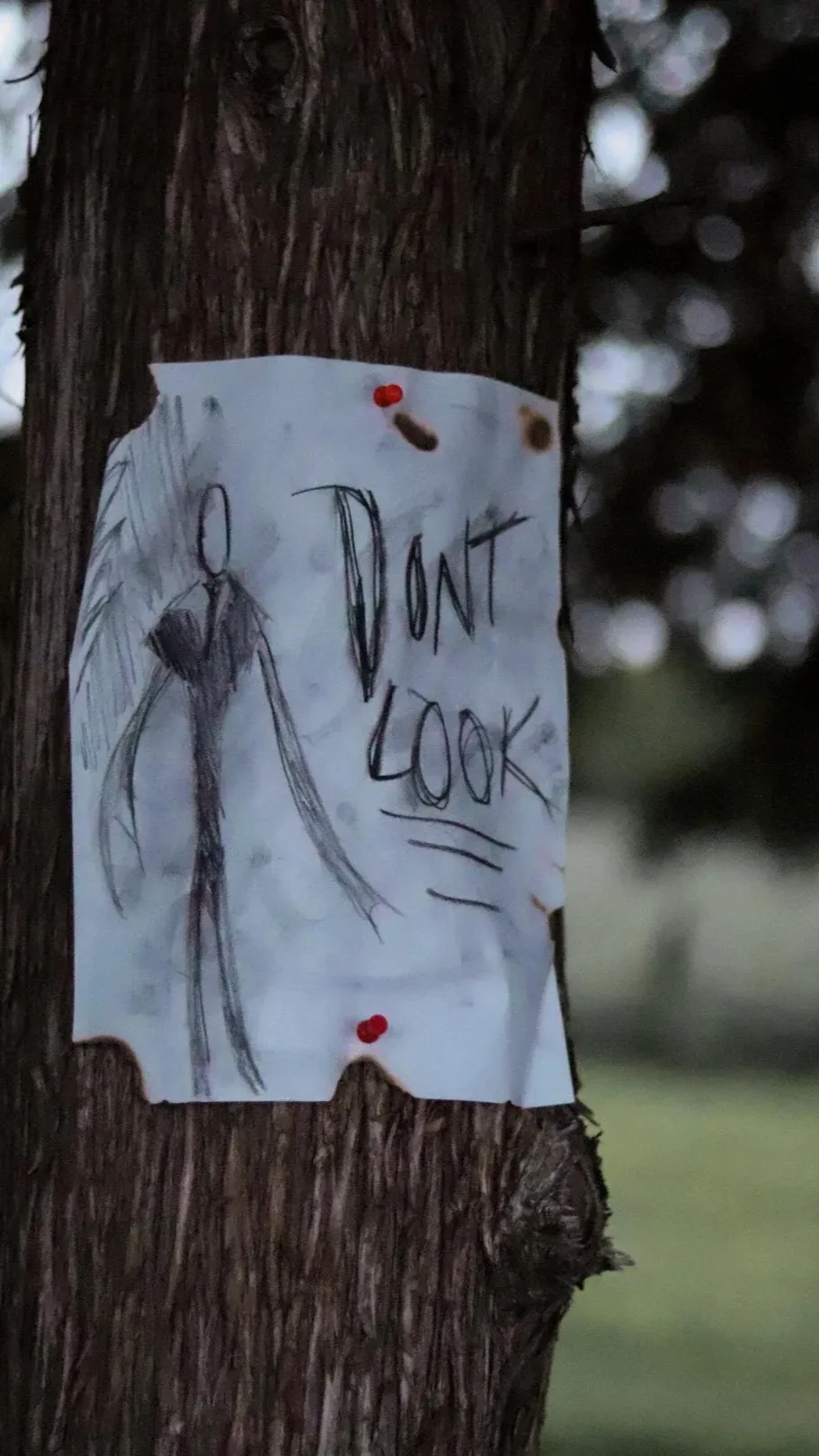 Talkie AI - Chat with Don’t Look